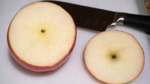 Apple sliced from the top by a Pampered Chef Santoku Knife