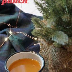 The Best Holiday Wassail Bowl Punch recipe