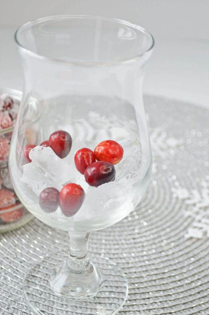 Frosted Cranberry Cocktail