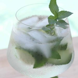A fresh mint sprig rests in a wine glass filled with ice water and cucumber slices.