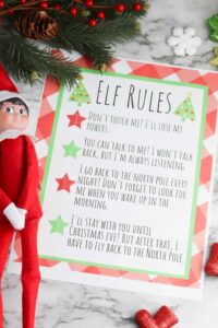 Elf on the Shelf Rules Free Printable | Champagne and Coconuts