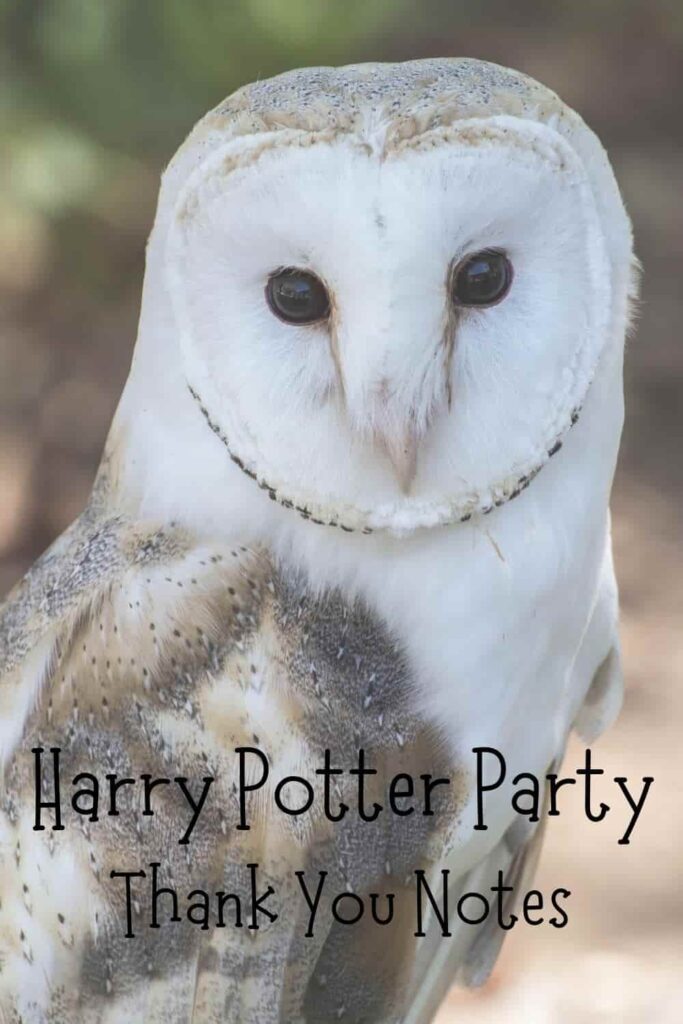 How to Host a Hogwarts Worthy Harry Potter Party - EventOTB